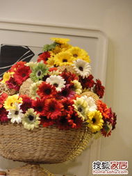 花卉产业的融入：不只是装饰那么简单