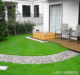 草坪种植时间表