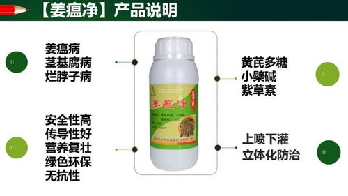 百菌清：神奇还是鸡肋？