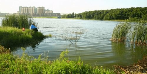 八年水产工程师的经验