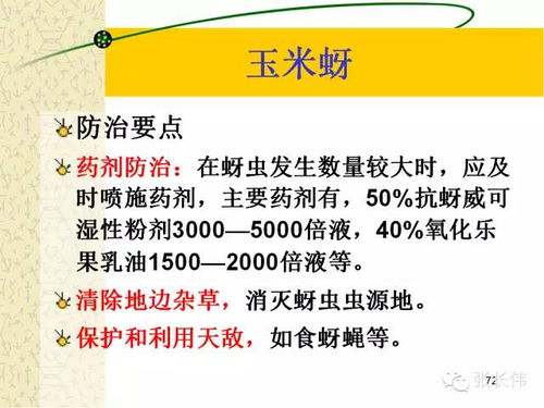 科技创新， 助力粮食平安