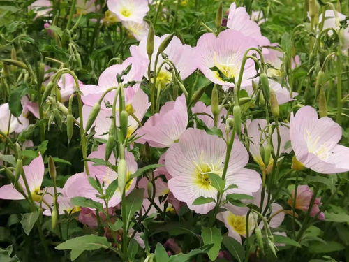 如何体现这种和谐之美