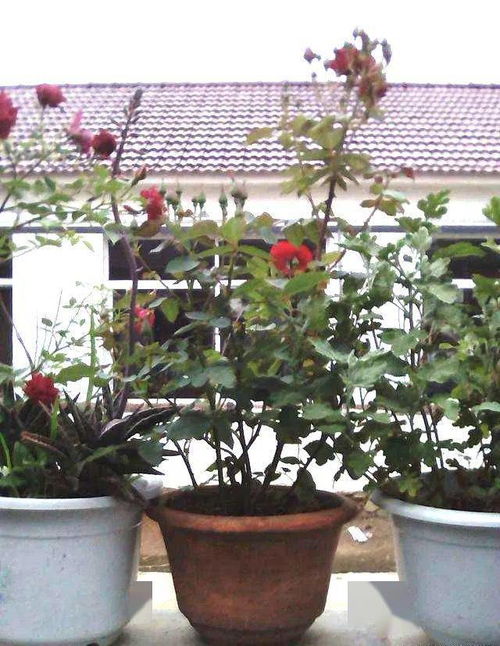 风太大，怎么办？