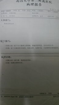 病原分离与鉴定：科学防治的第一步