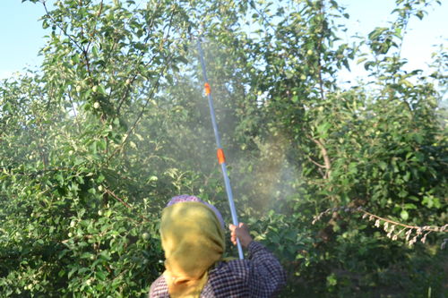 天气和温度的影响