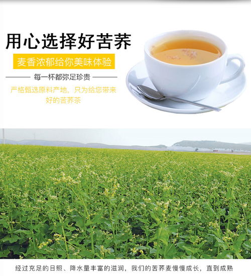 英德绿箭茶叶价格一览：一包多少钱？