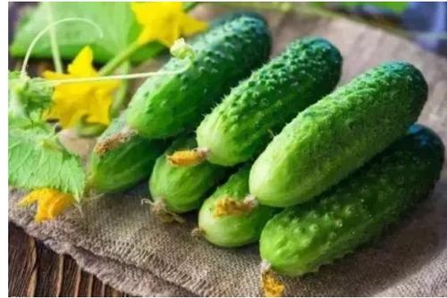 “黄瓜种子在什么时间种植最合适？需要遵循哪些种植方法