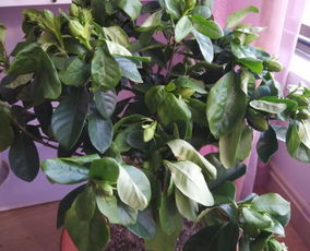 三、缺光？换个位置吧