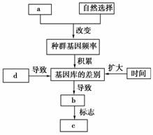 环境激素造成的危害案例中，有哪些具体案例对生态系统和人类健康产生了显著影响？