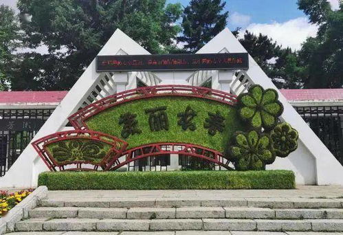 梦幻的拱形花廊