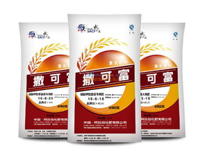 金克拉的传奇故事