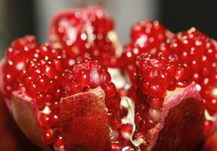 施肥注意事项：避免果皮增厚，Zuo好病虫害防治