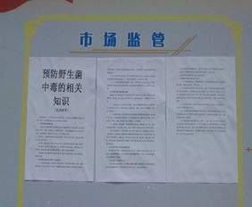 海南地区白粉病的发生时段及防范措施