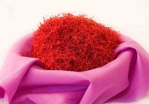 藏红花发芽了怎么办？