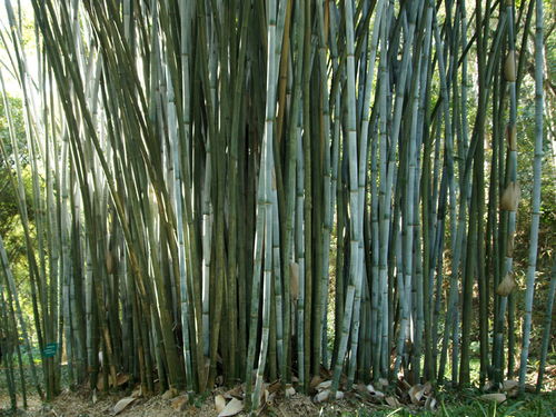 温度要管住 别让它着凉