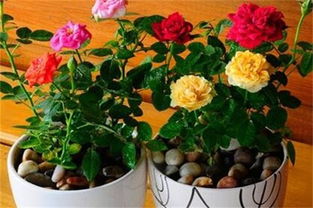 晾晒一下 让它透透气