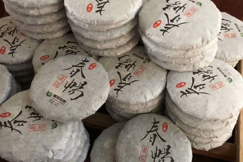 茶叶茶油价格一览：茶油渣饼每斤多少钱？