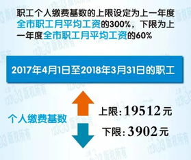 大学生李云东利用业余时间养黄粉虫