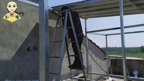 优化猪舍环境，显著减少应激病风险