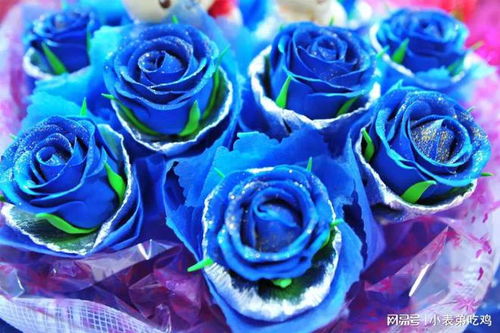 676朵玫瑰，爱意满满