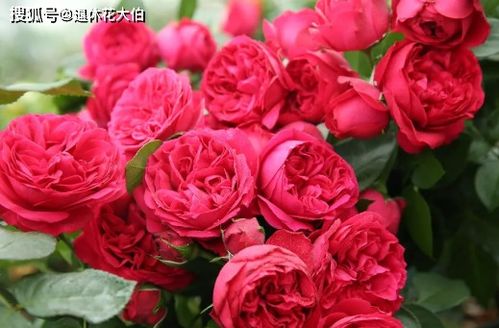 秋季注意事项：干燥的时候要保湿