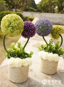 花卉繁殖的方法大杂烩