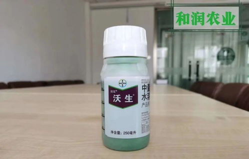 夏日炎炎，喷药有讲究