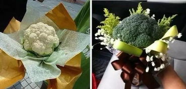 酒瓶兰：吸附空气中的杂质， 净化家居环境