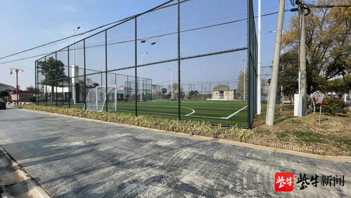 南京六合区马鞍街道：打造农村环境整治新标杆，花卉美化成亮点