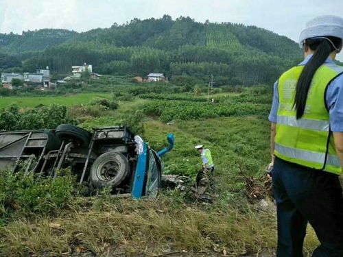 农药厂事件引发的反思