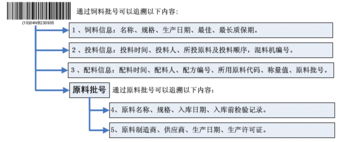 请问在泰高饲料排名中，哪些饲料品牌能进入行业前50强呢？