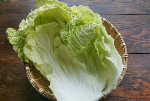 一、 白菜根发红的原因