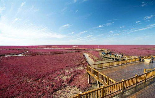 防洪背后的绿色密码，是什么？