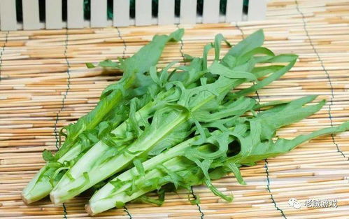 丁草胺：苗前使用，封闭土壤