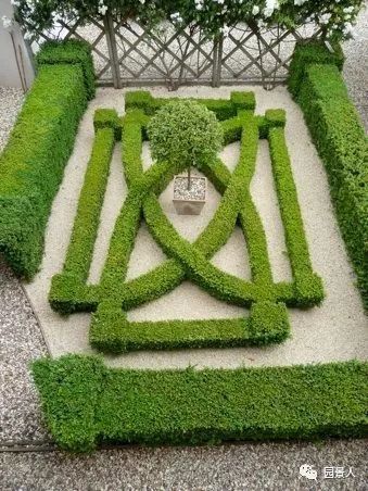 园林中的植物搭配：如何构建美观的模纹花坛？