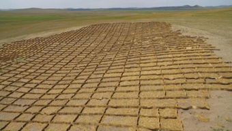 施工队老张的经验：