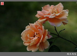 现在买还来得及吗？