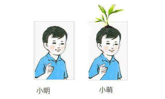小明头上长草，这叫什么发型
