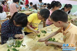 种植活动与教育相结合