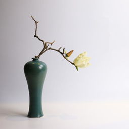 选花攻略：球形花瓶里的花朵选择