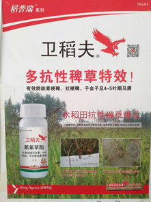 探寻戊唑醇的价格之谜