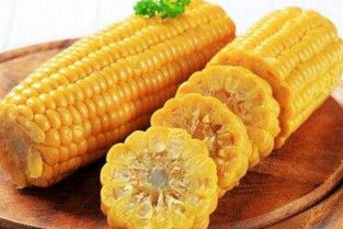 2024年承德地区玉米价格多少钱一斤？