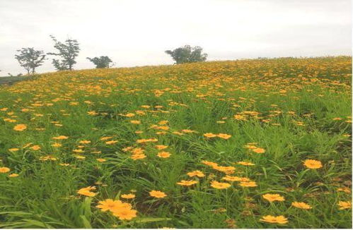 误区一：以为休眠就是死亡