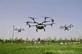 东营哪里买得到打农药的小型无人机？揭秘大疆无人机的秘密基地