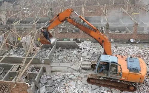 创新猪场疫病防控技术，保障养殖安全高效