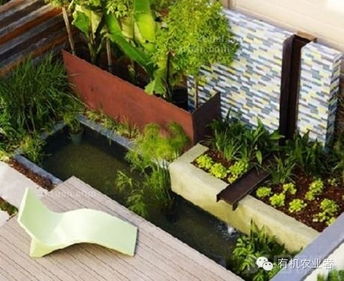 增加观赏性的植物