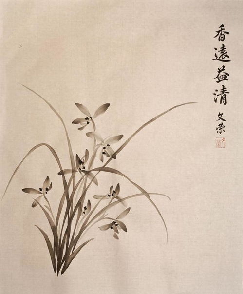 梅兰竹菊双何解？