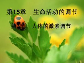 花里起飞虫怎么办？如何安全有效驱除