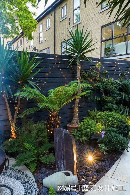 我家后院适合种些啥子植物呢？