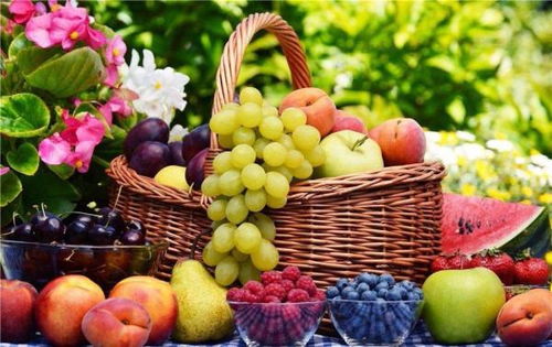 水果种植中的环保意识